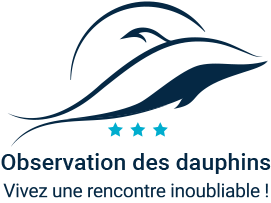 Observation des dauphins
