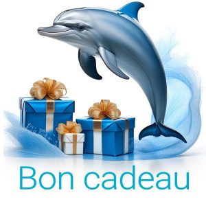 Bon cadeau sortie en mer avec dauphins et baleines